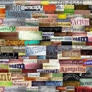 Meet your Posher, Nsikan